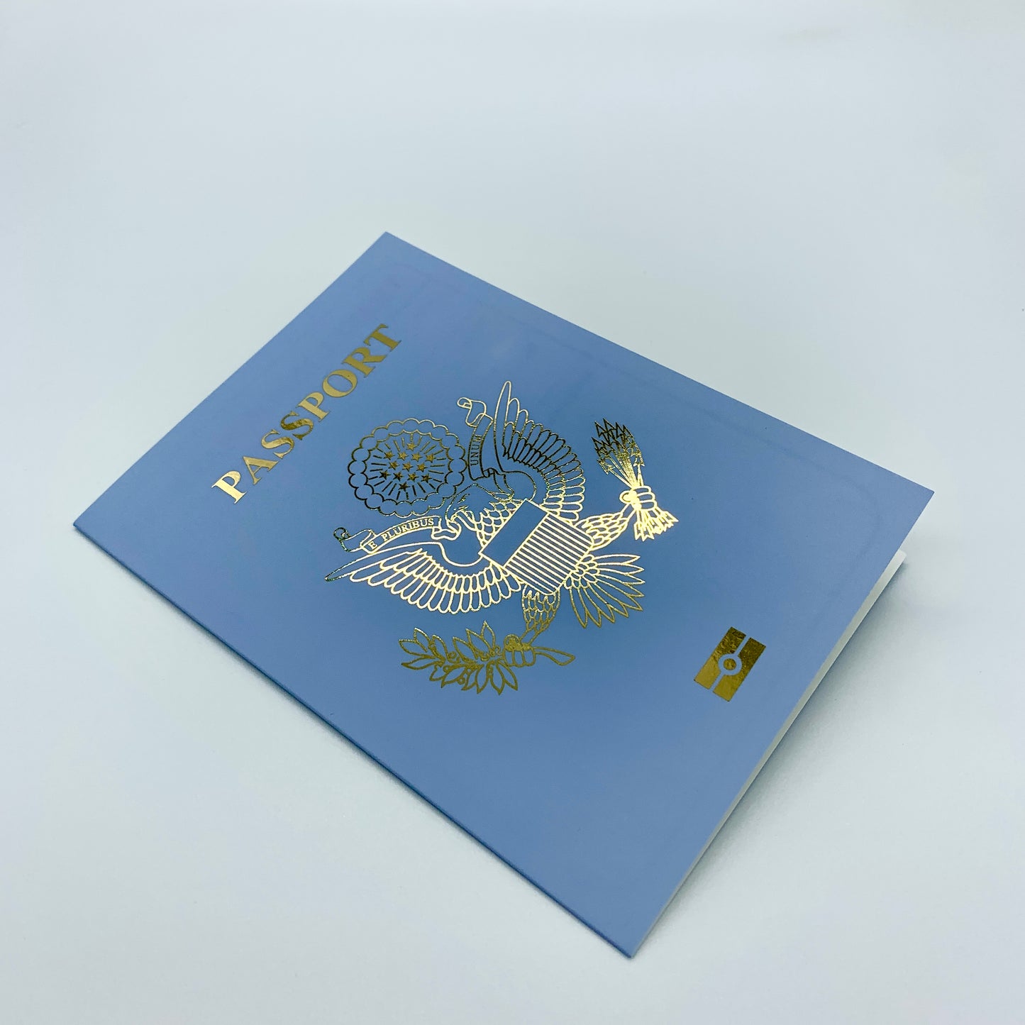 USA Passport (Baby Blue with Gold Foil) Card Reveal Gift bundle (DIY)